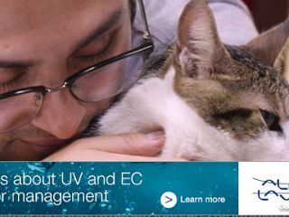 ทำไมคนแรกที่เลี้ยงแมวไม่ได้เริ่มจากความรัก? ทำไมคนแรกที่เลี้ยงแมวไม่ได้เริ่มจากความรัก?