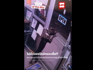 น้องหมา "ยอดนักแหกคุก" สะเดาะกลอนหนีออกจากศูนย์ฯ เพื่อเดินกลับบ้านเอง